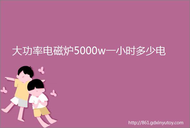 大功率电磁炉5000w一小时多少电