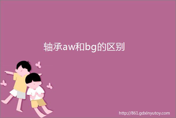 轴承aw和bg的区别