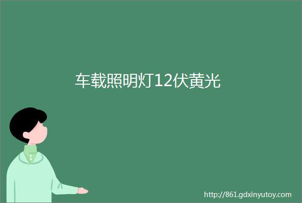 车载照明灯12伏黄光