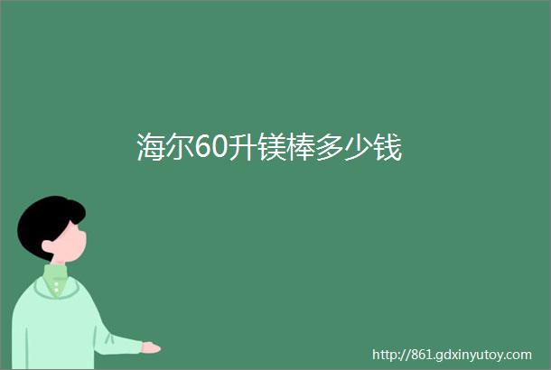 海尔60升镁棒多少钱