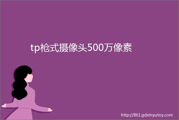 tp枪式摄像头500万像素