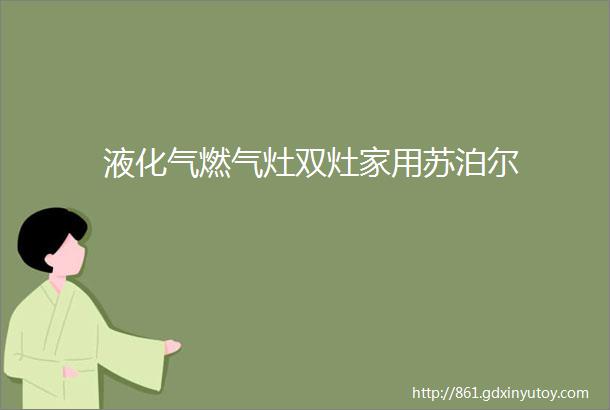 液化气燃气灶双灶家用苏泊尔