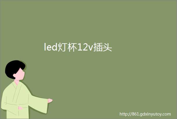 led灯杯12v插头