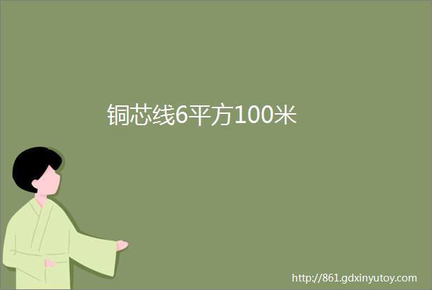 铜芯线6平方100米