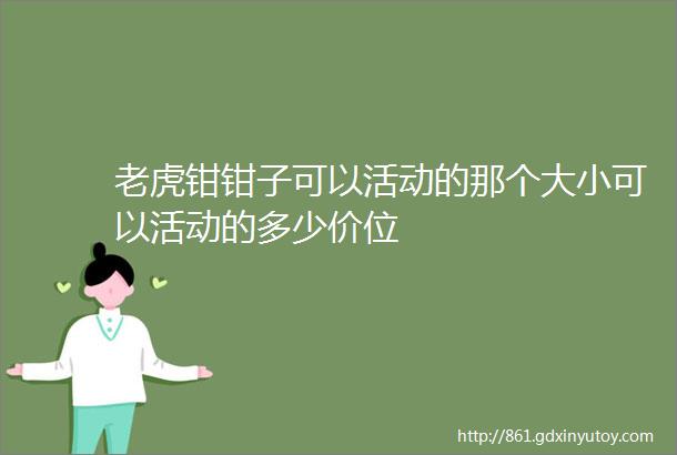 老虎钳钳子可以活动的那个大小可以活动的多少价位