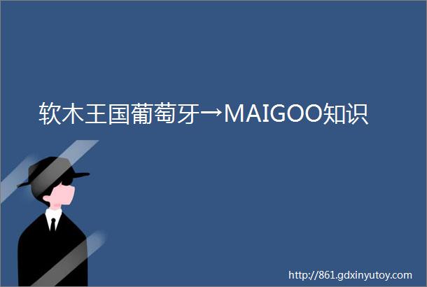 软木王国葡萄牙→MAIGOO知识