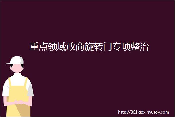 重点领域政商旋转门专项整治