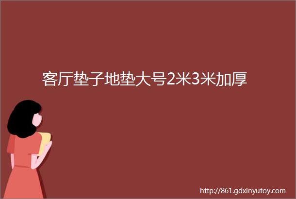 客厅垫子地垫大号2米3米加厚