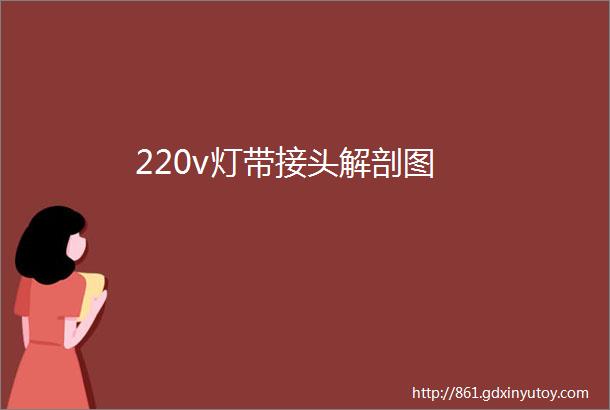 220v灯带接头解剖图