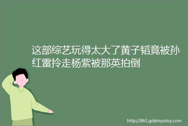 这部综艺玩得太大了黄子韬竟被孙红雷拎走杨紫被那英拍倒